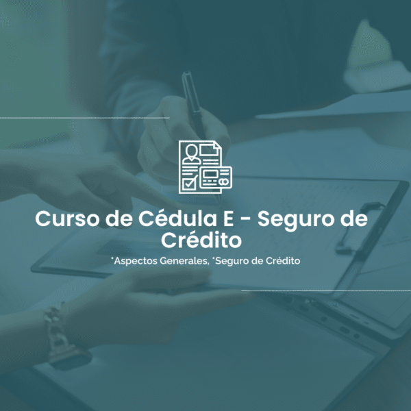 Licencia Curso Cedula E Seguro de Credito